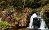 Hikers can explore the stunning beauty of Waimea Canyon on a trek around its rim called the Canyon Trail, which ends at the top of Waipoo Falls.