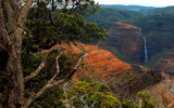 Some of the best views of Waipoo Falls can be enjoyed from the other side of the canyon, however, at lookouts along Waimea Canyon Drive.
