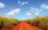 The at-times rugged drive out to Keahiakawelo travels through former pineapple fields and features the familiar red-dirt roads found across Lanai. Known formerly as the Pineapple Isle, Lanai spent much of the 20th century as a major Dole plantation.