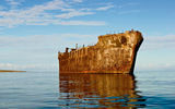 A 30-minute drive north from Lanai City, travelers can access Kaiolohia, or Shipwreck Beach, where the rusting hull of a 1940s oil tanker remains fixed on the coastline's coral reef. Many vessels have run ashore over the years in the region's rocky channel.