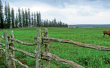 Horseback riding is a popular activity for guests staying at the Lodge at Koele.