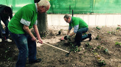 World Travel & Tourism Council (WTTC) members Dr. Richard Kelley, Chairman Emeritus of Outrigger Enterprises, left, and Brett Tollman, CEO of TravCorp, were among the volunteers who planted 2,500 ivy plants in Madrid's Retiro Park. The event was organized by Tourism Cares and was held the day before the WTTC Global Summit began.