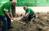 World Travel & Tourism Council (WTTC) members Dr. Richard Kelley, Chairman Emeritus of Outrigger Enterprises, left, and Brett Tollman, CEO of TravCorp, were among the volunteers who planted 2,500 ivy plants in Madrid's Retiro Park. The event was organized by Tourism Cares and was held the day before the WTTC Global Summit began.