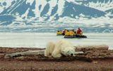 A sighting during a Quark Expeditions trip.