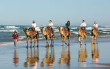 Celebrity Cruises passengers on an excursion in Australia.