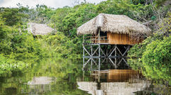 Not everyone headed to Brazil is thinking about the World Cup or the Olympics. Here are some highlights of a recent visit to two of the country's great outdoor lures: the Amazon and the Pantanal. Pictured here, a showpiece of ecotourism, the Juma Amazon Lodge's series of spacious cabanas are built on stilts with deep respect for natural resources and jungle wildlife.