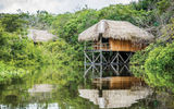 Not everyone headed to Brazil is thinking about the World Cup or the Olympics. Here are some highlights of a recent visit to two of the country's great outdoor lures: the Amazon and the Pantanal. Pictured here, a showpiece of ecotourism, the Juma Amazon Lodge's series of spacious cabanas are built on stilts with deep respect for natural resources and jungle wildlife.