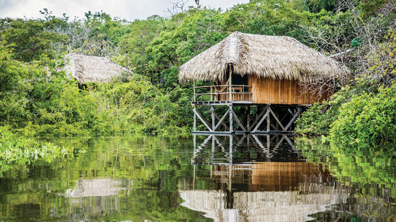 Not everyone headed to Brazil is thinking about the World Cup or the Olympics. Here are some highlights of a recent visit to two of the country's great outdoor lures: the Amazon and the Pantanal. Pictured here, a showpiece of ecotourism, the Juma Amazon Lodge's series of spacious cabanas are built on stilts with deep respect for natural resources and jungle wildlife.