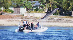 Often overshadowed by sister islands Bora Bora, Tahiti, Moorea and Tetiaroa (aka Brando Island), Rangiroa has long been known to scuba divers for its crystal-clear waters in what is the largest lagoon in French Polynesia. But first, the flying dolphins. When the tide changes, dolphins that live in Rangiroa's Tiputa Pass sometimes shoot 20 feet into the air before arcing down. TW photos by Arnie Weissmann, unless otherwise noted; posted Oct. 24, 2014