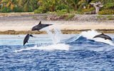 These three didn't get as much height, but seemed to have choreographed their jumps.