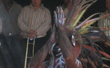 A dancer performed the ceremonial Dance of the Fire in El Quelite, Mexico.