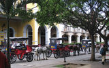 Besides serving as a tourist attraction, the horse-drawn taxis lining the Granada's main square also serve as transportation for locals.