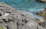 Rocky shorelines pose a water hazard for golfers at the Greg Norman-designed course at Sandals Emerald Bay.