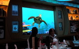 The Animators' Palette, one of three restaurants on the regular dinner rotation, features visits throughout the meals from "Finding Nemo" characters like Crush, who talks to passengers on screens throughout the room.
