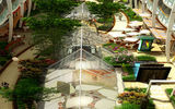 A rendering of the Central Park neighbordhood.