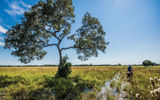 At the Araras Eco Lodge, days are filled with activities like horseback riding through the marshes.