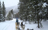 A dogsledding tour with Goodtimes Adventures, which also offers snowmobiling tours, just outside Breckenridge.