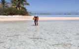 A visitor photographs baby black tip reef sharks just off-shore from the picnic island.