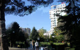 A high-rise building sits well back from a central city boulevard, with a tranquil park in the foreground.