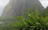 The view from Ladera Resort in St. Lucia. TW photo by Gay Nagle Myers