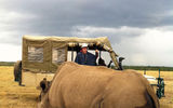 Ken Kiesnoski observes one of the endangered 11 southern white rhinoceroses and four northern white rhinoceroses being cared for at the Ol Pejeta Conservancy.
