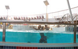 The kids H2O pool zone has new pool concepts, colorful slides, an Octopus with water-spraying tentacles, and a pool for infants and toddlers.