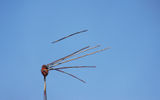 A javelin flies just high of the target.