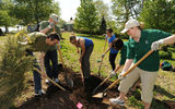 In celebration of Arbor Day, dozens of Hilton New York team members, friends and families gathered at Randall’s Island in New York City on May 1 to plant more than 60 trees. Photo courtesy of graylock.com