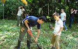 Rain Forest Aerial Trams Costa Rica Atlantic and Pacific parks recognized World Environment Day on June 5 by planting 200 trees each with the help of local government personnel, students and residents.