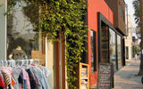 Shopping on Abbot Kinney Street in Venice Beach.