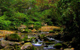 Travelers can enjoy a leisurely, stream-side stroll through Zhangjiajie Da Xia Gu, an ancient canyon that plunges nearly 1,000 feet in depth, located around 45 minutes outside of Zhangjiajie.
