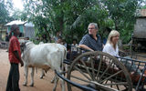 Ama co-founders Kristin Karst and Rudi Schreiner show passengers how to ride their oxcarts
