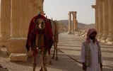 A man with a camel at Palmyra.