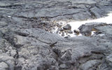 The lava upon which Hawaii is built is of two kinds: ropy, smooth pahoehoe, seen here at the shoreline, and rocky, chunky a'a.
