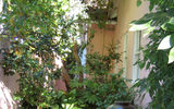 The entrance to room 140 at the Hotel Bel-Air, part of a three-unit bungalow on the property.