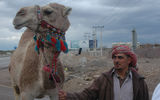 A man leading his camel on the road between the Dead Sea and Bethany Beyond the Jordan. (photo by Arnie Weissmann)