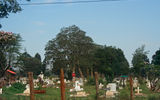 A cemetery in Nairobi serves as a stark reminder of the more than 1,000 people who died in Kenya since violence broke out on Dec. 30, 2007.