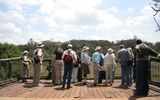 A group of veterinarians tours Kenya Wildlife Service's Nairobi National Park.