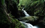Onomea Falls