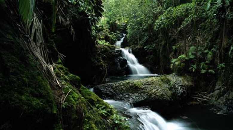 Onomea Falls