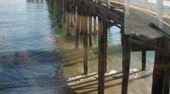 The Malibu pier.