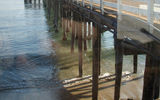 The Malibu pier.