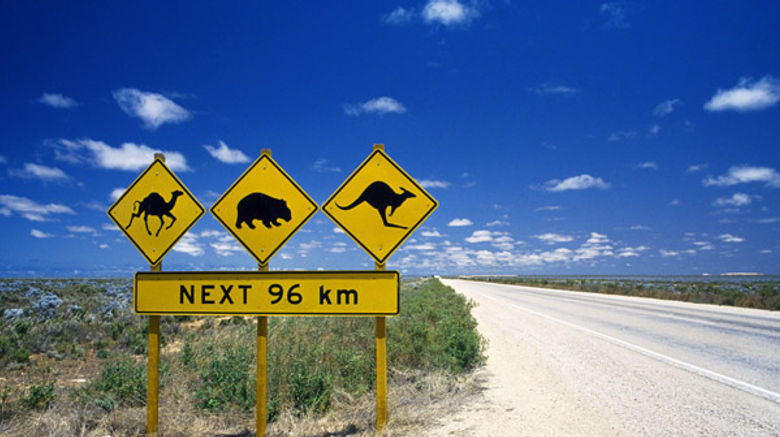 A road sign in Australia shows some of the many animals that call the continent home.