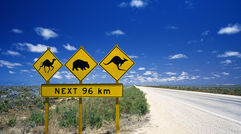 A road sign in Australia shows some of the many animals that call the continent home.