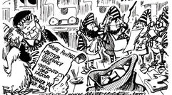 Editorial Cartoons: 2009