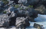 Tulum is the site of a Pre-Columbian Maya walled city which served as a major port for Coba. The ruins are located about 80 miles south of Cancun.