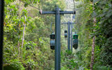 View of the gondolas on the aerial tram at the Rain Forest Adventures Pacific Park.