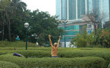 A Hong Kong resident performs Tai Chi in Kowloon Park.