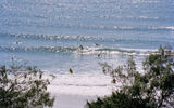 Byron Bay has several beaches for surfing.