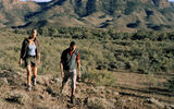 Wilpena Pound is a popular site in the Flinders Ranges on the fringes of Australia's Outback.